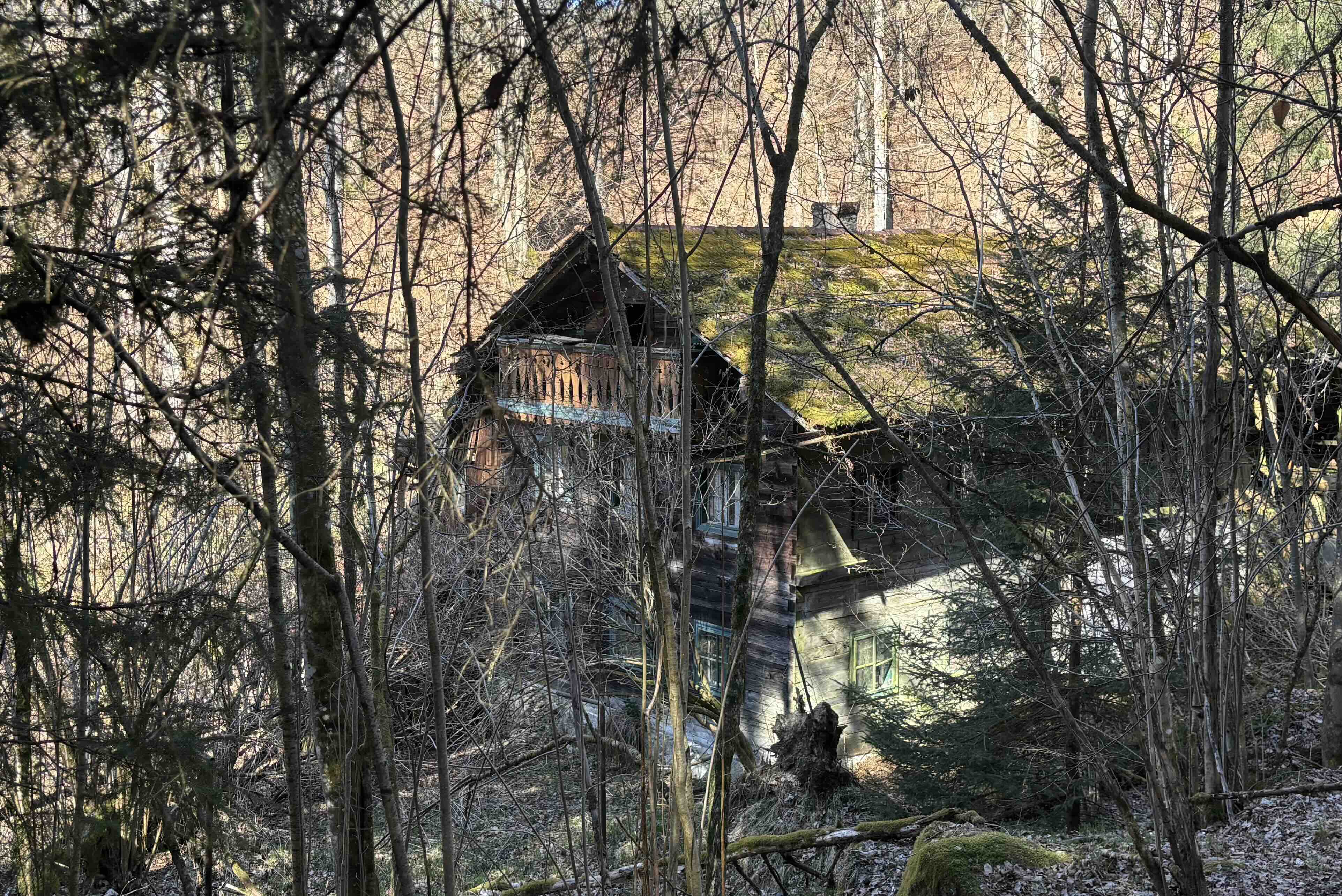 AnnaSchmitz