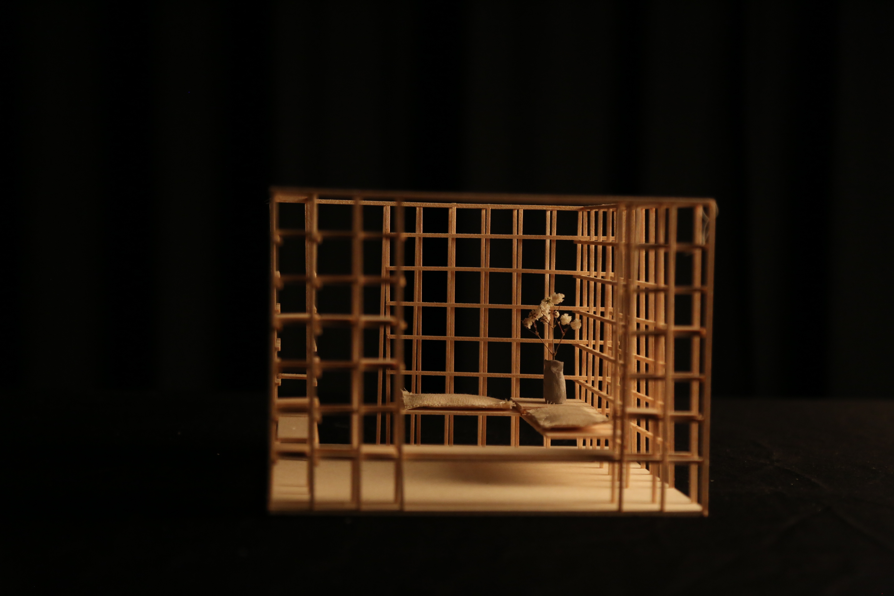 model1
